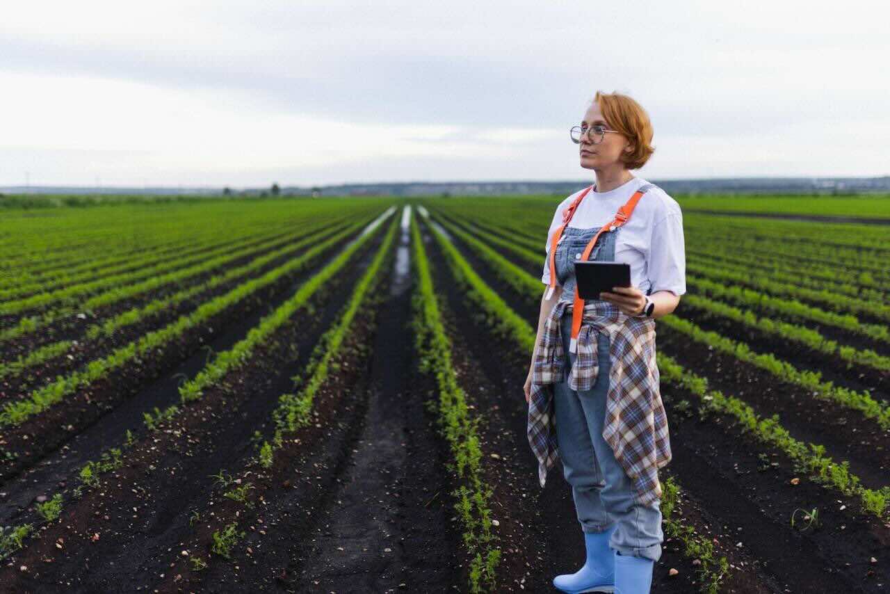 Agriculture & Rural Services Agriculture & Rural Services trade hub