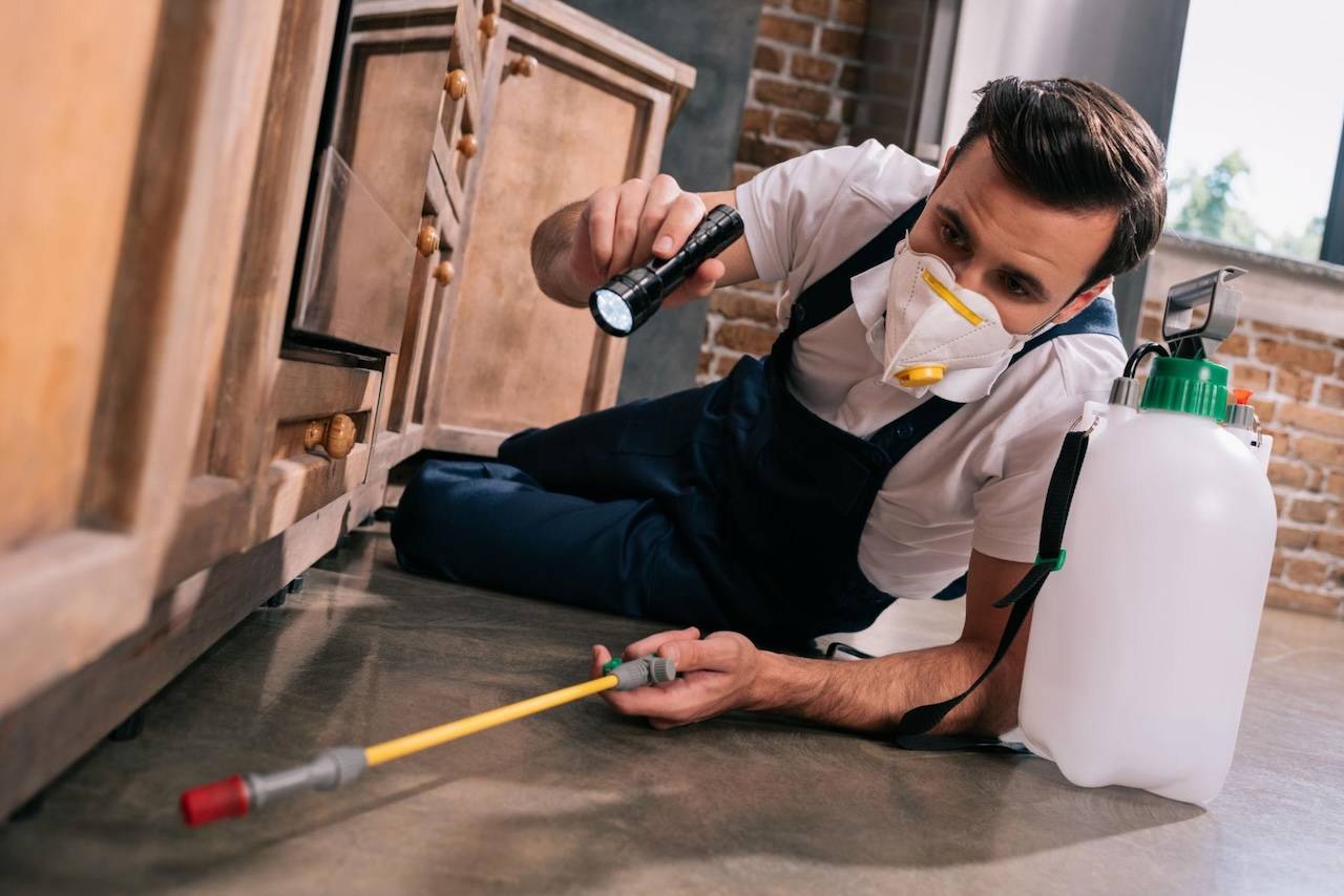 Free Asbestos Removal invoice template ready to send via WhatsApp