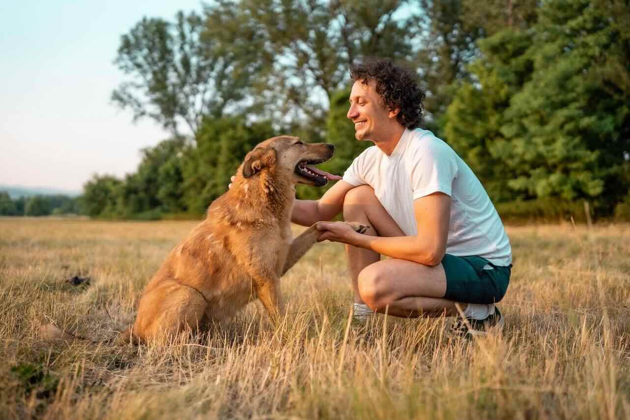 Pet & Animal Services Pet & Animal Services trade hub